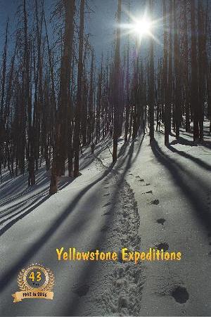 XC Ski Brochure